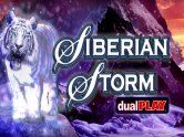Siberian Storm Dualplay