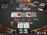 Texas Holdem Pro