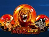 The Wild Life