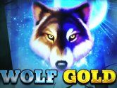 Wolf Gold